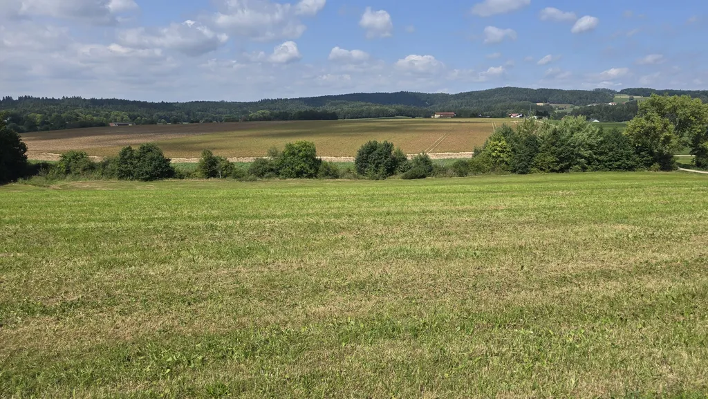 Image by Heinz for spot 1443