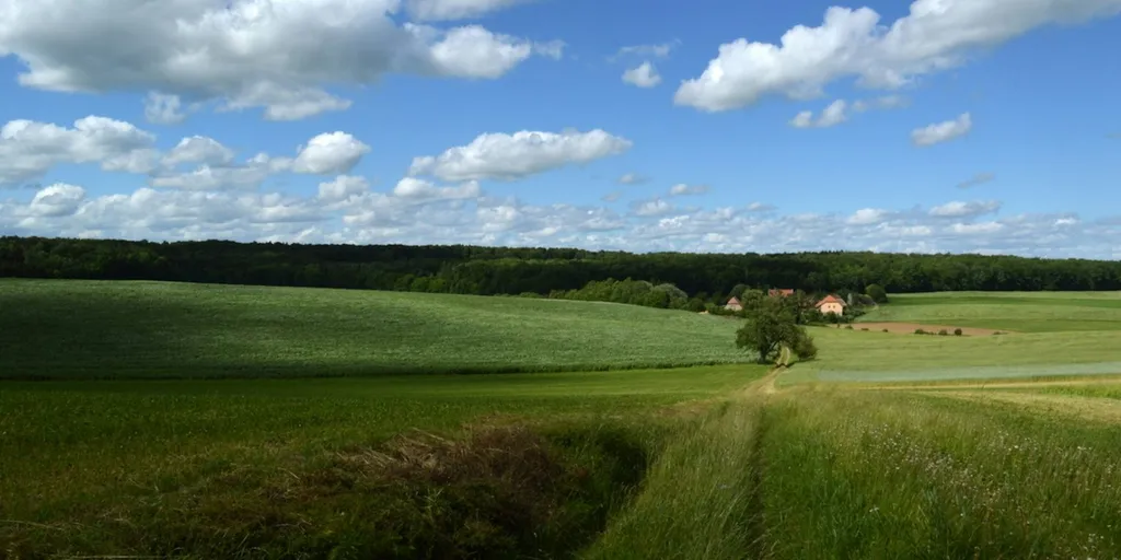 Mit Blick auf den grünen Daumen
