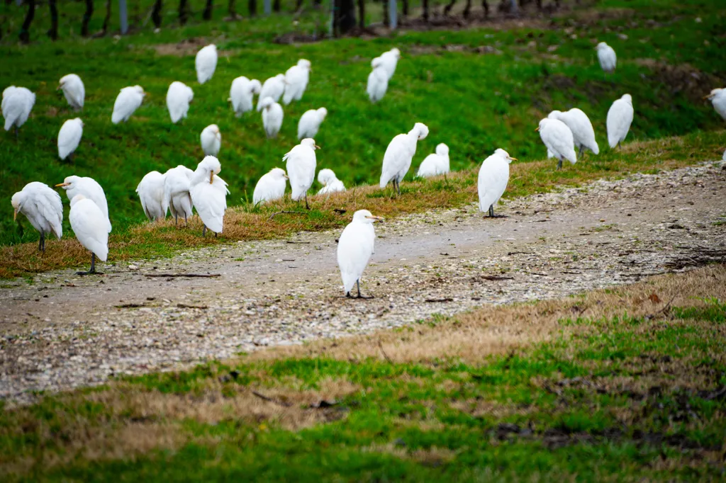 Un luogo naturale dove gli animali si sentono accolti.