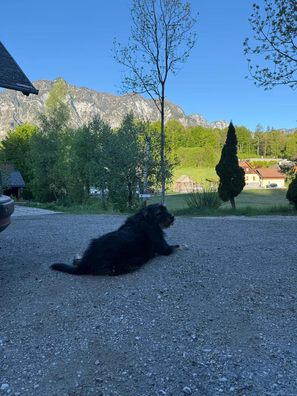 Bild von Hanna für den Spot 4701
