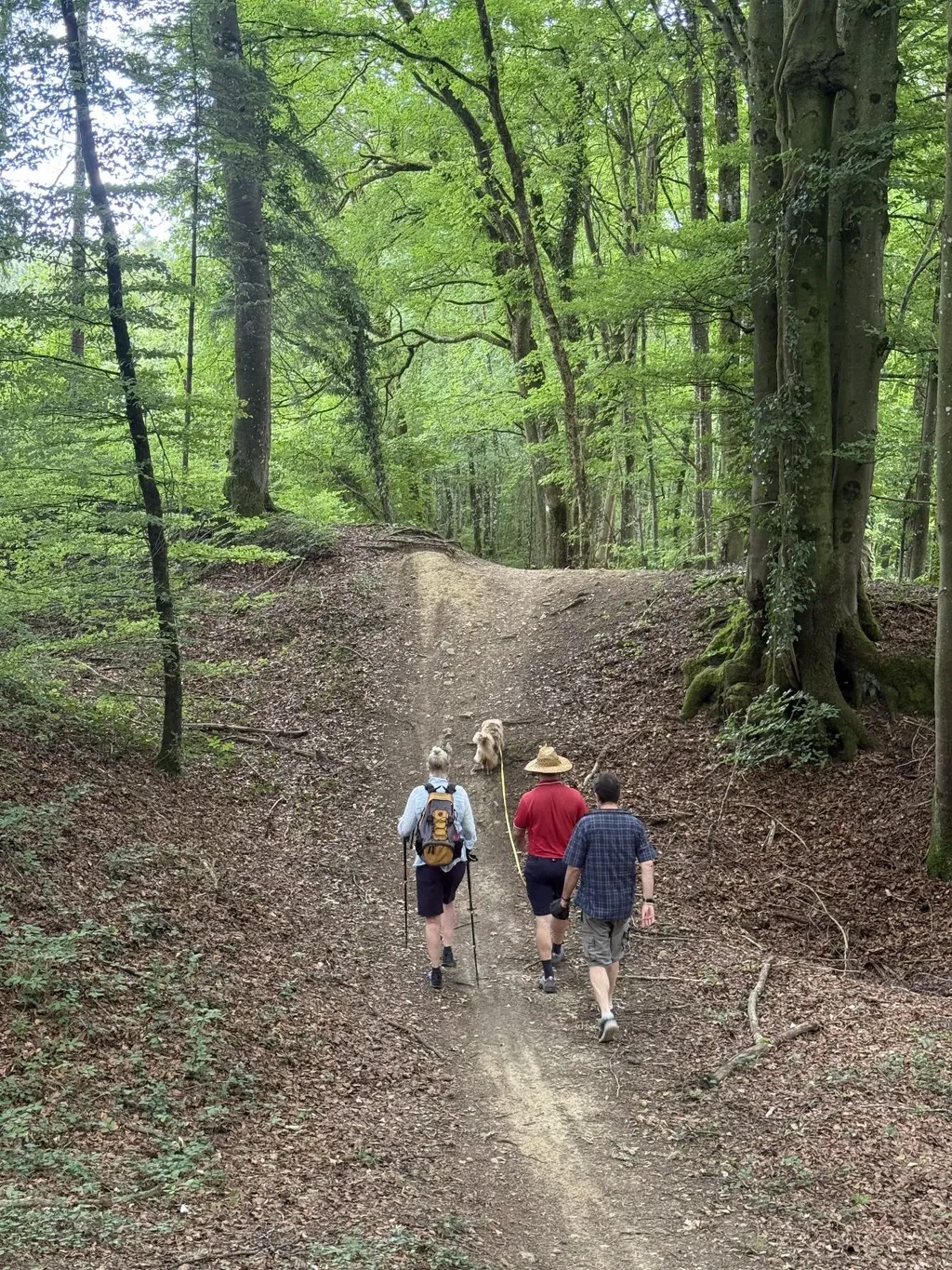 Bild von Anitra für den Spot 862