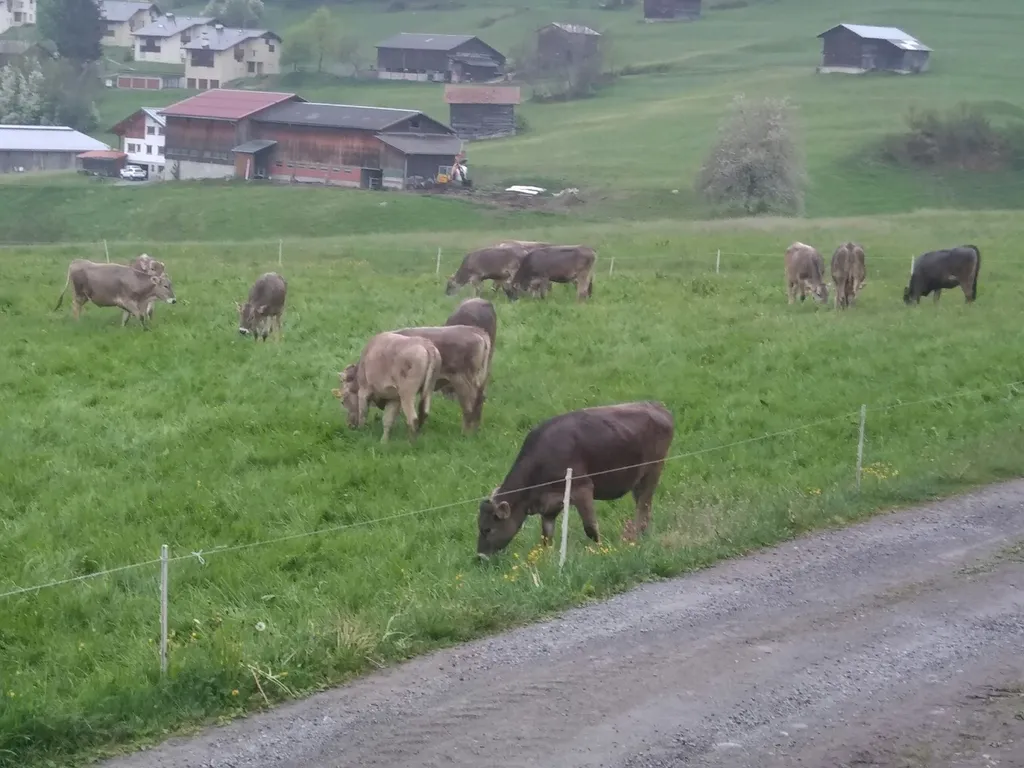 Landwirtschaftsbetrieb Surpunt