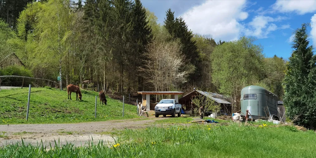 kleine Wiese am Ortsrand direkt am Wald