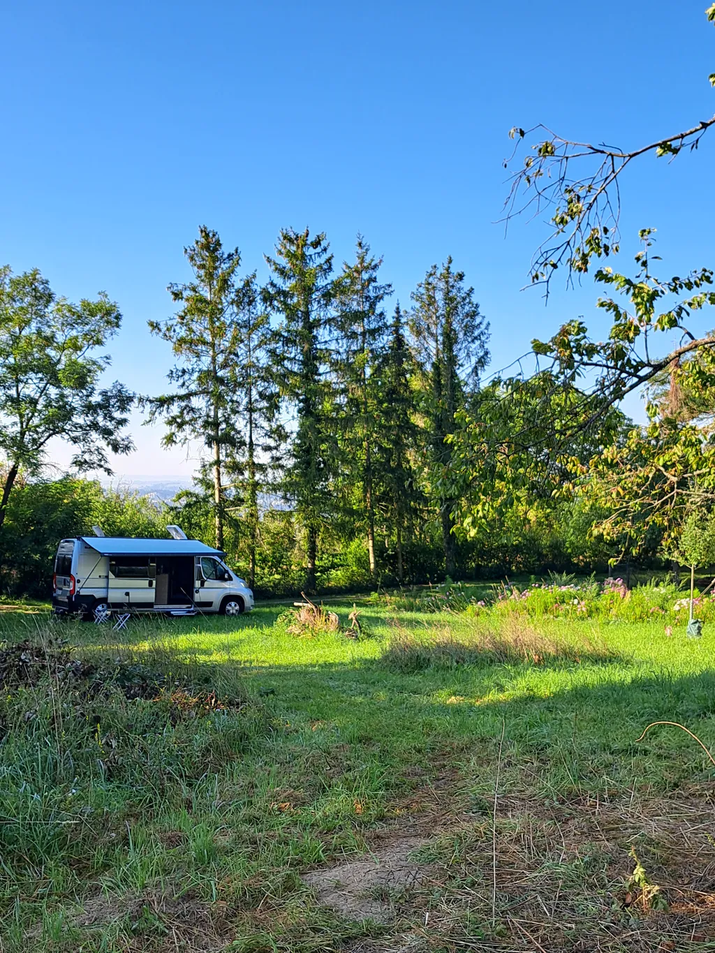 Bild von Dieter für den Spot 1569