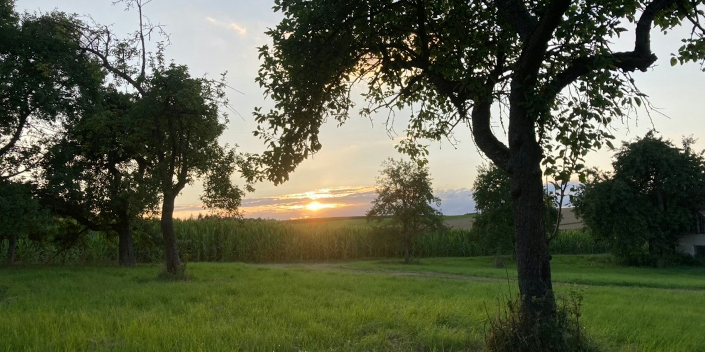 Campen in der Obstwiese