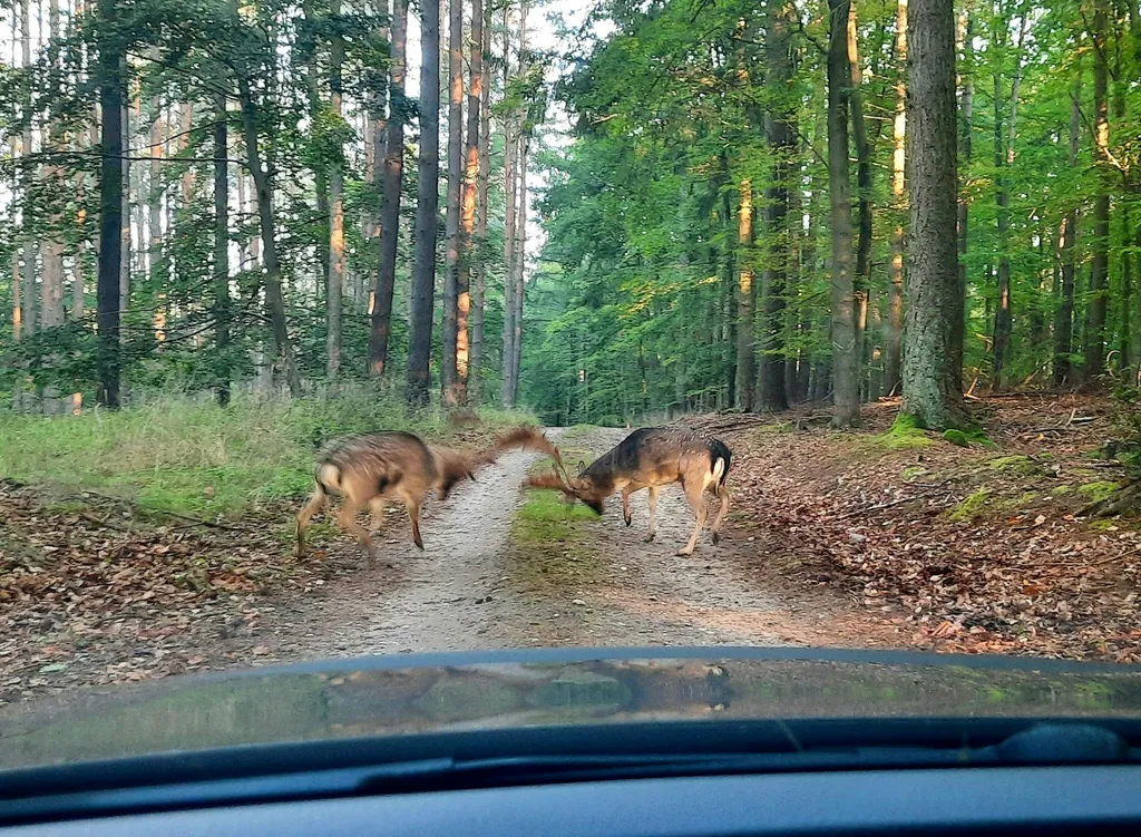 Stellplatz im Biosphärenreservat