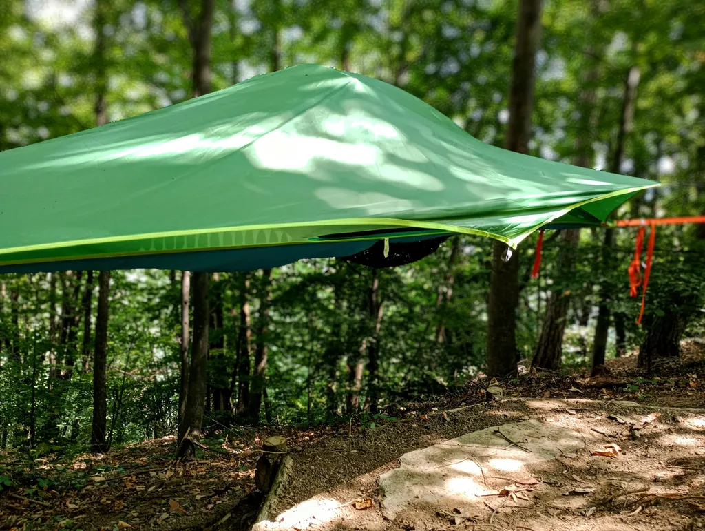 Tree tent. Avventura nel bosco