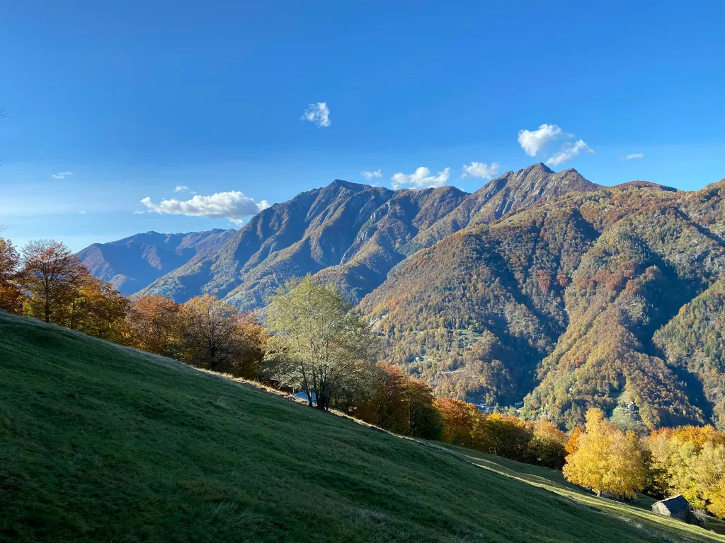 Idillico rustico casa capretta