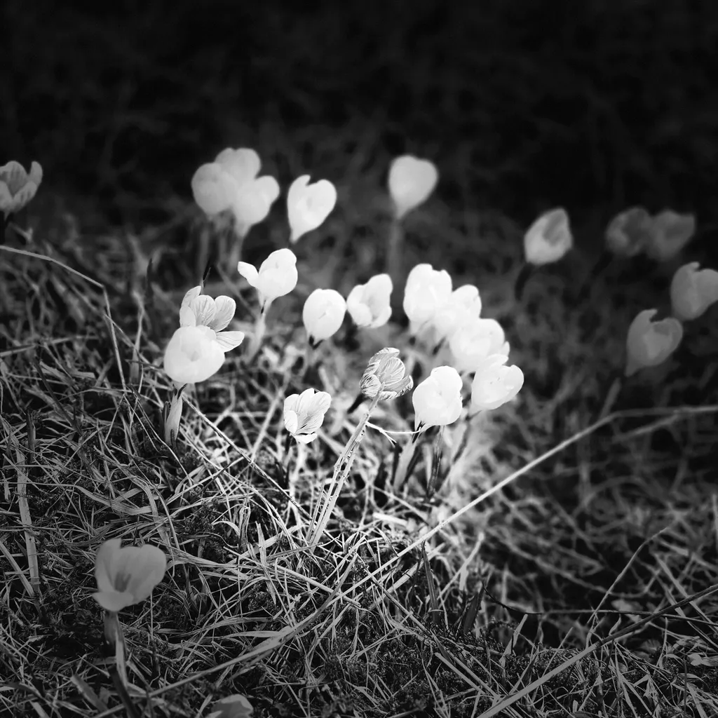 Bild von Thomas für den Spot 875