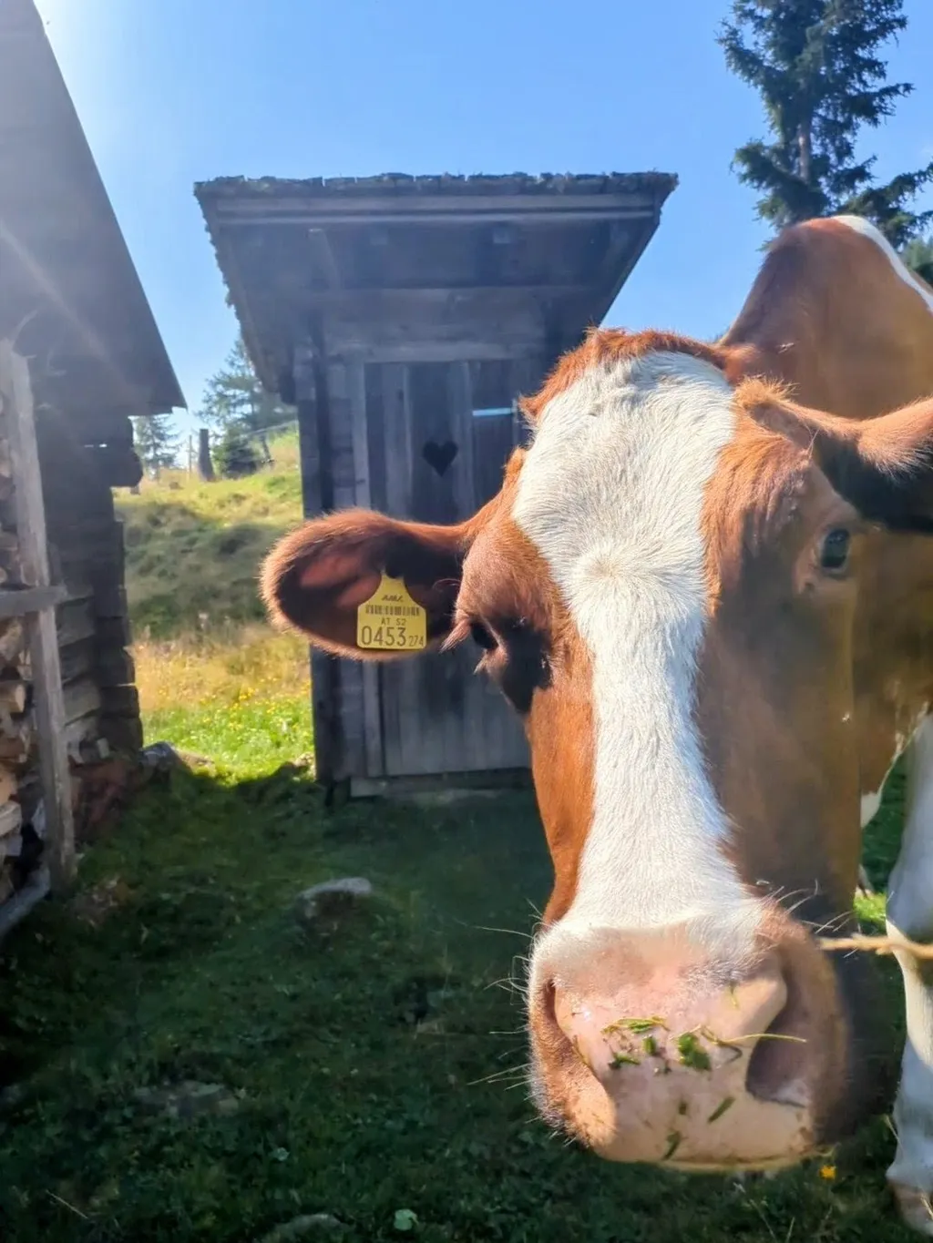 Bild von Nina für den Spot 1359