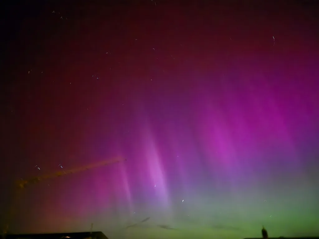 Profilbild von Regula