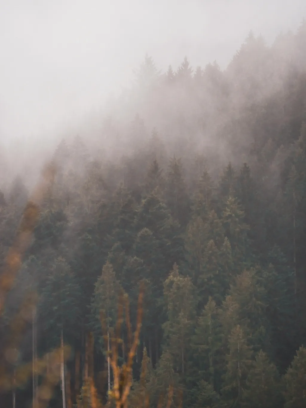 Bild von Nicole für den Spot 3614