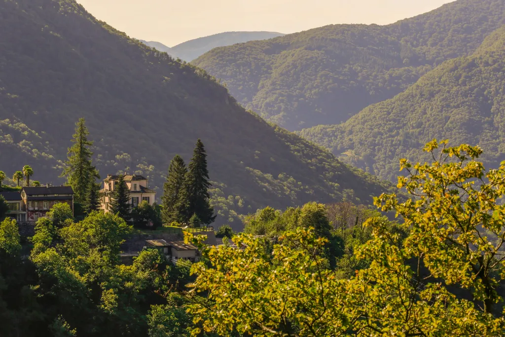 Wild Valley Villa Edera