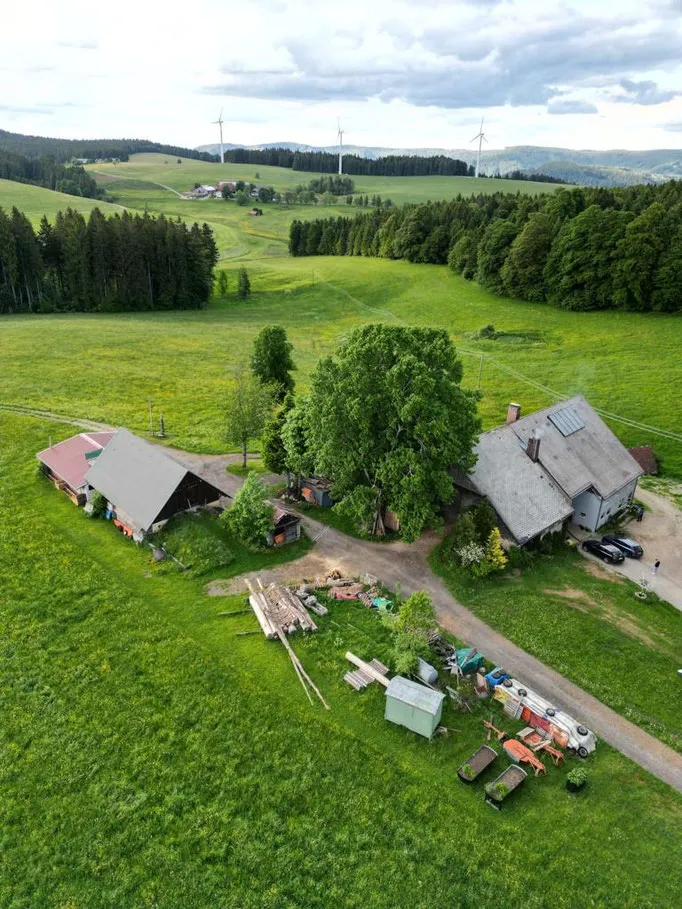 Stellplatz mit Sternenhimmel