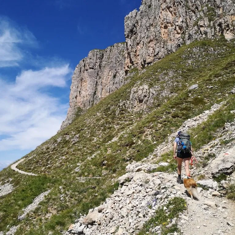 Foto del profilo di Salome