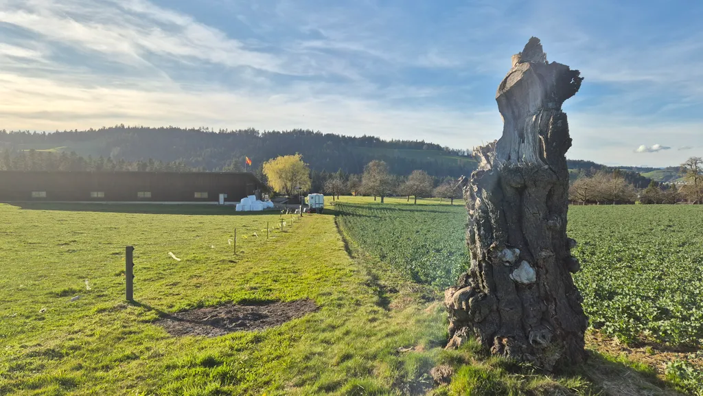 Bild von René für den Spot 532