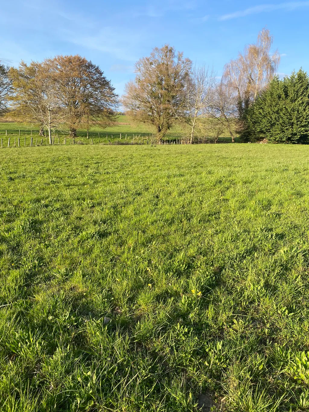 Terrain nature calme pour campeurs autonomes1000m2