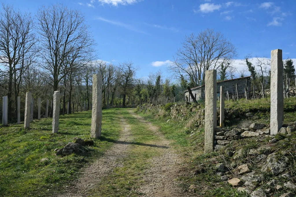In the middle of vineyards in the Ribeira Sacra