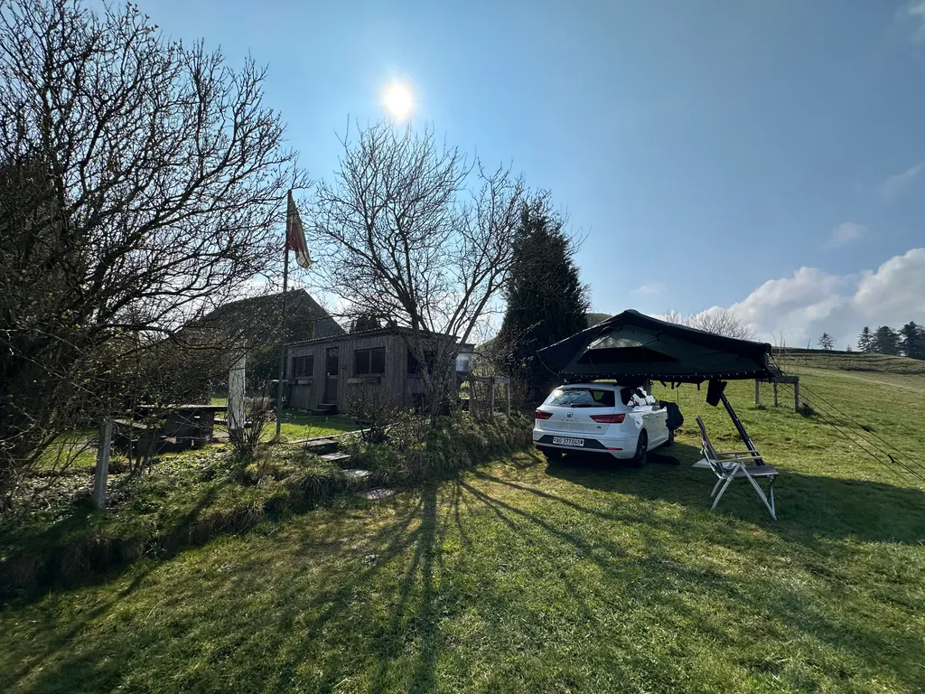 Image by Nora for spot 257