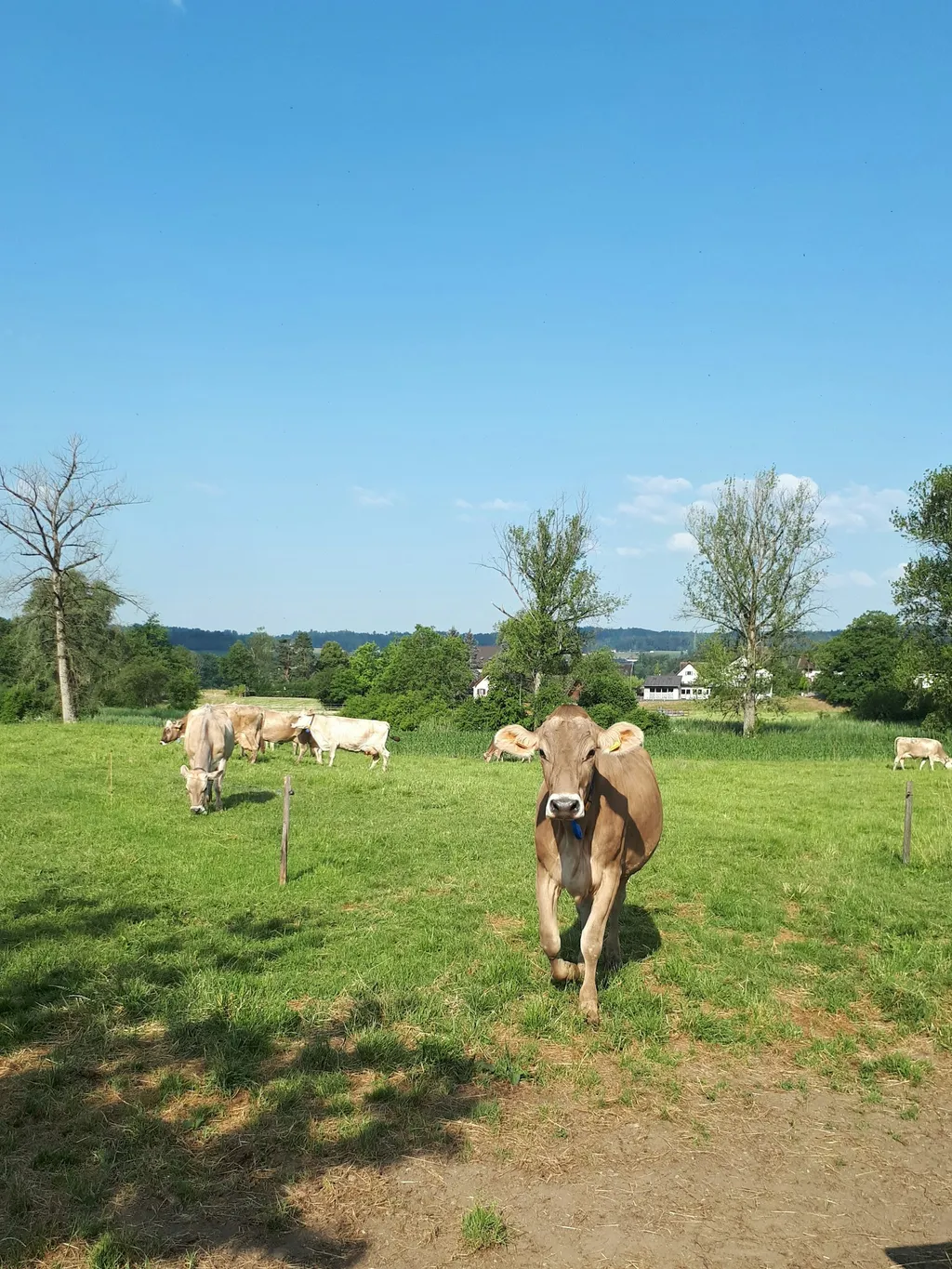 Camp Reussblick