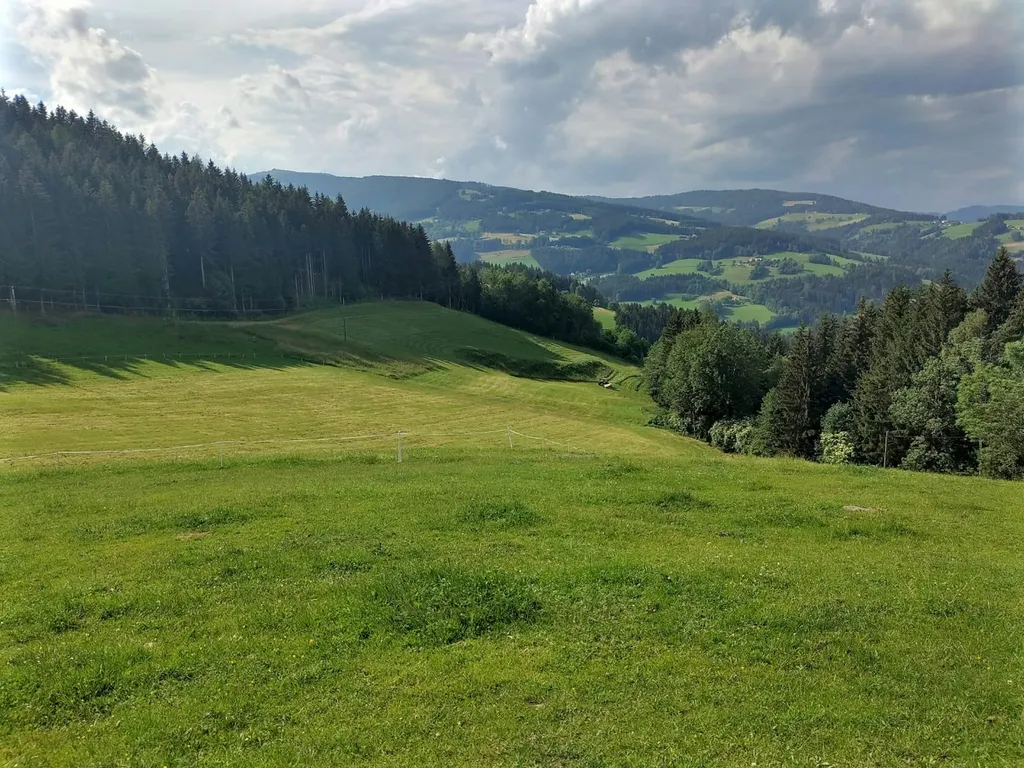Sommerimpressionen