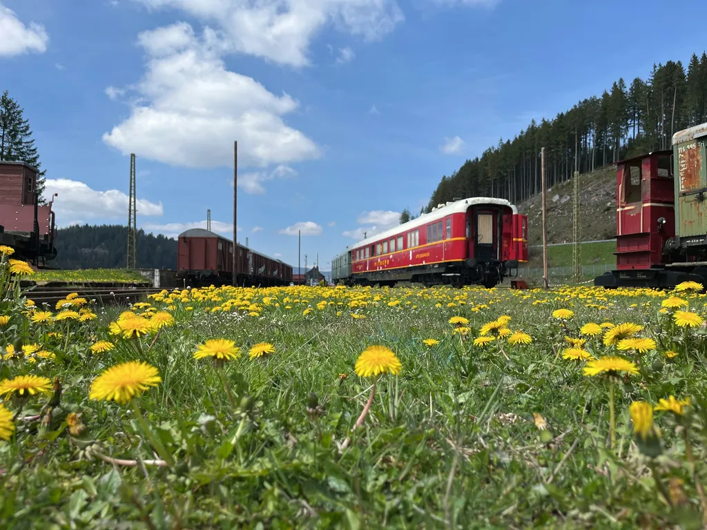 Am Schluchsee mit Feldbergblick