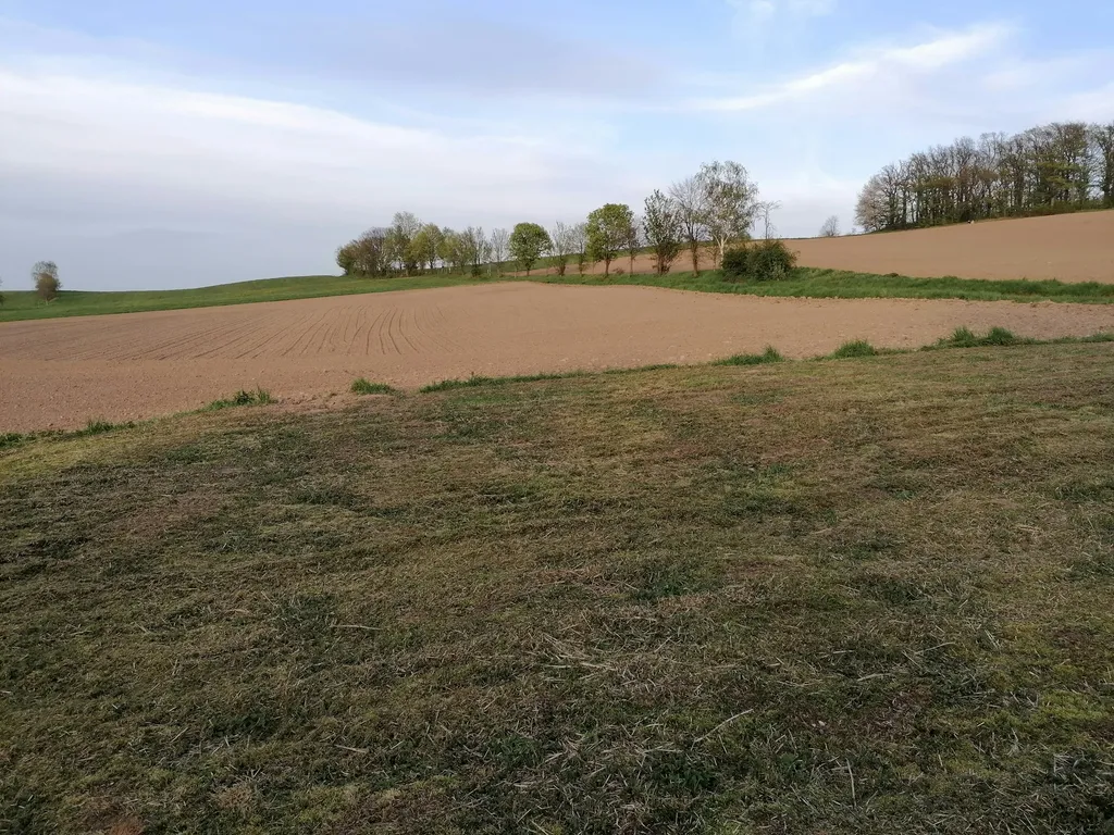 Ruhige Wiese im Grünen