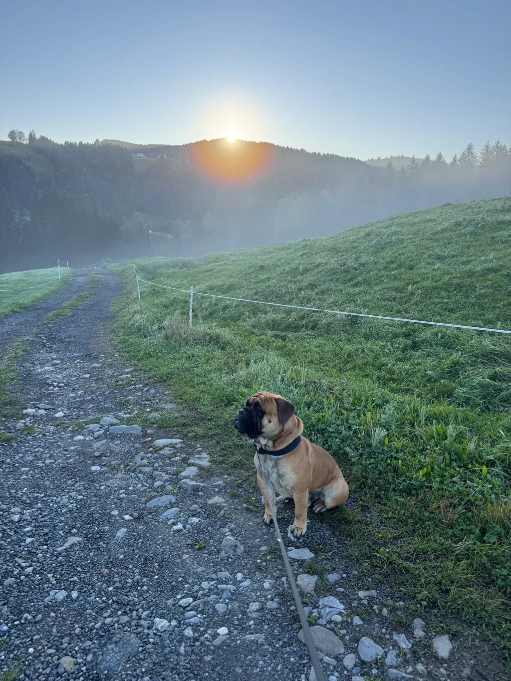 Bild von Roman für den Spot 392