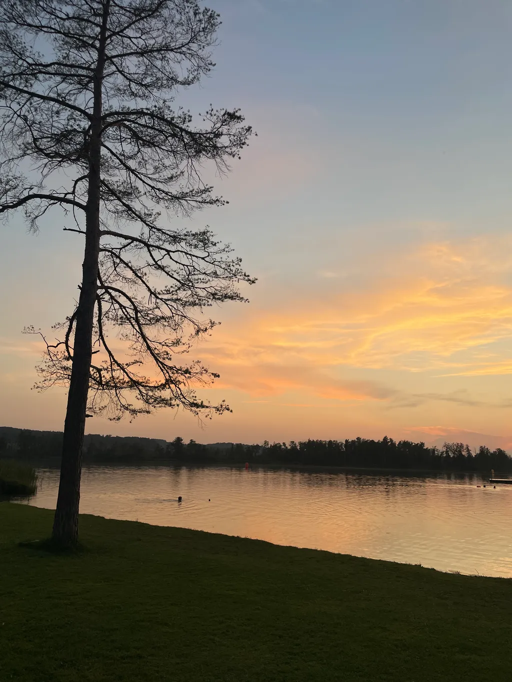 Bild von Kelly für den Spot 885