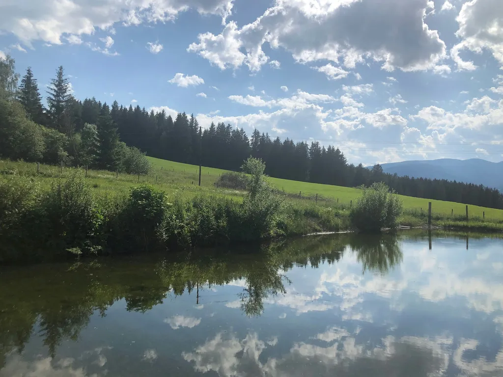 Auszeit am Bauernhof+Zirbitzblick