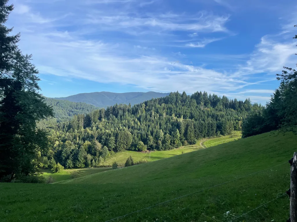 Bild von Tanja für den Spot 1308