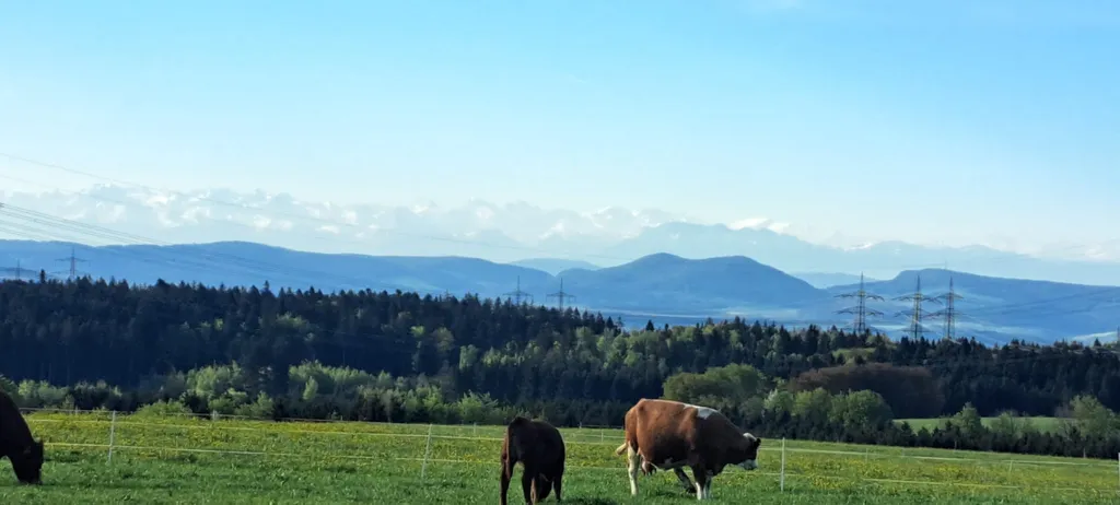 Bild von Patricia für den Spot 742