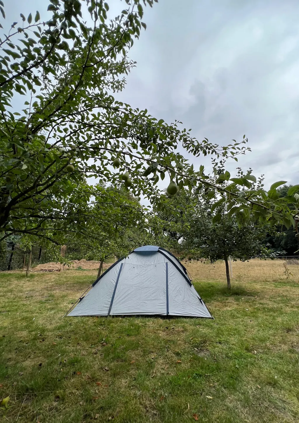 Zelten in der Obstwiese am Kanal