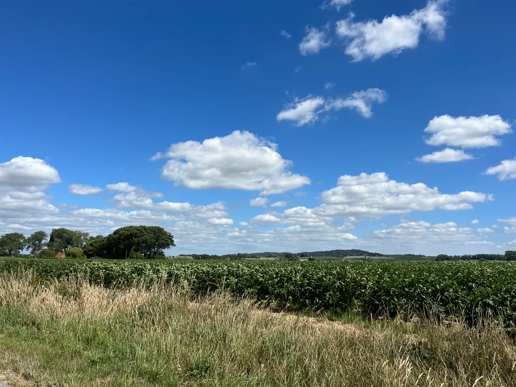 Flandres nature - Steenvoorde