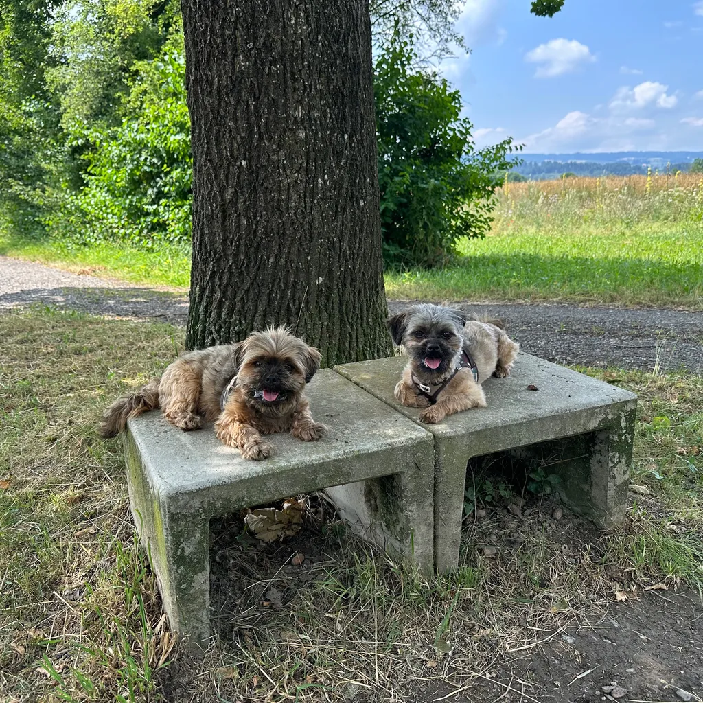 Profilbild von Angela