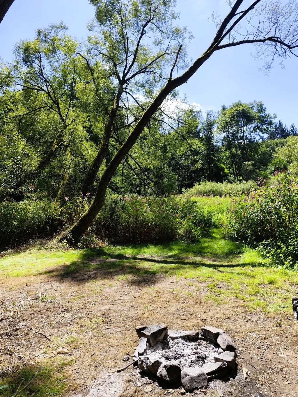 Bild von Maren & Alfred für den Spot 3634