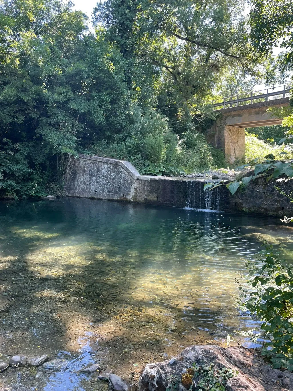 Senxunia Glamping Nel Bosco