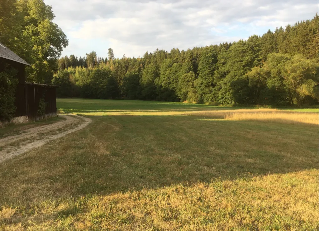 Bachtal im Frankenwald