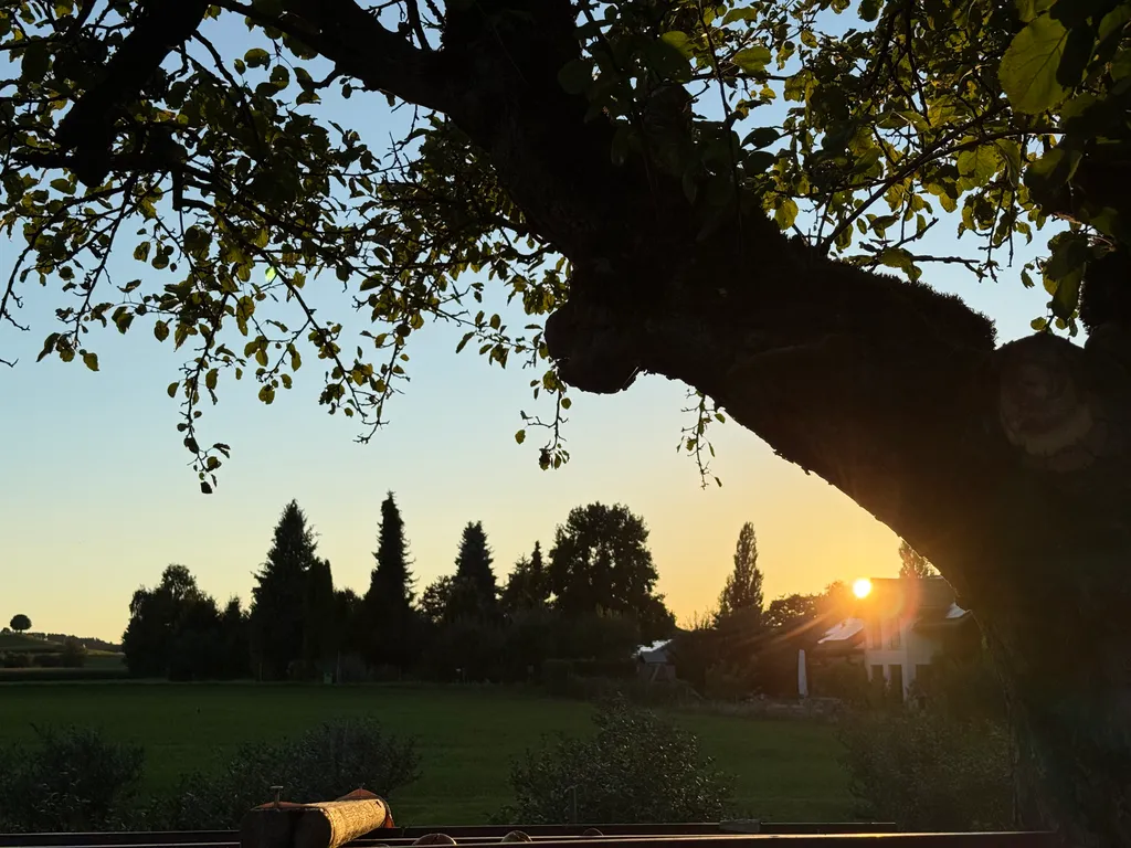 Image de Beatrice pour le spot 992