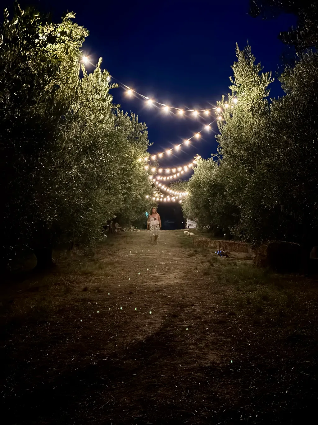 Image by Georg for spot 651