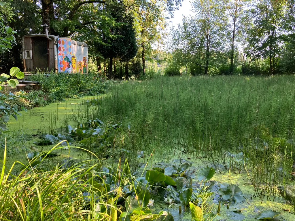 Privater Naturplatz am Teich – Blick über den Teich auf den versteckten, von Bäumen umgebenen Zeltplatz.