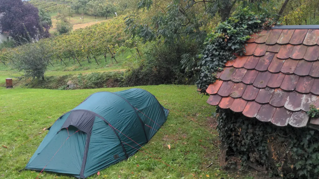 Bild von Jan-David für den Spot 1546