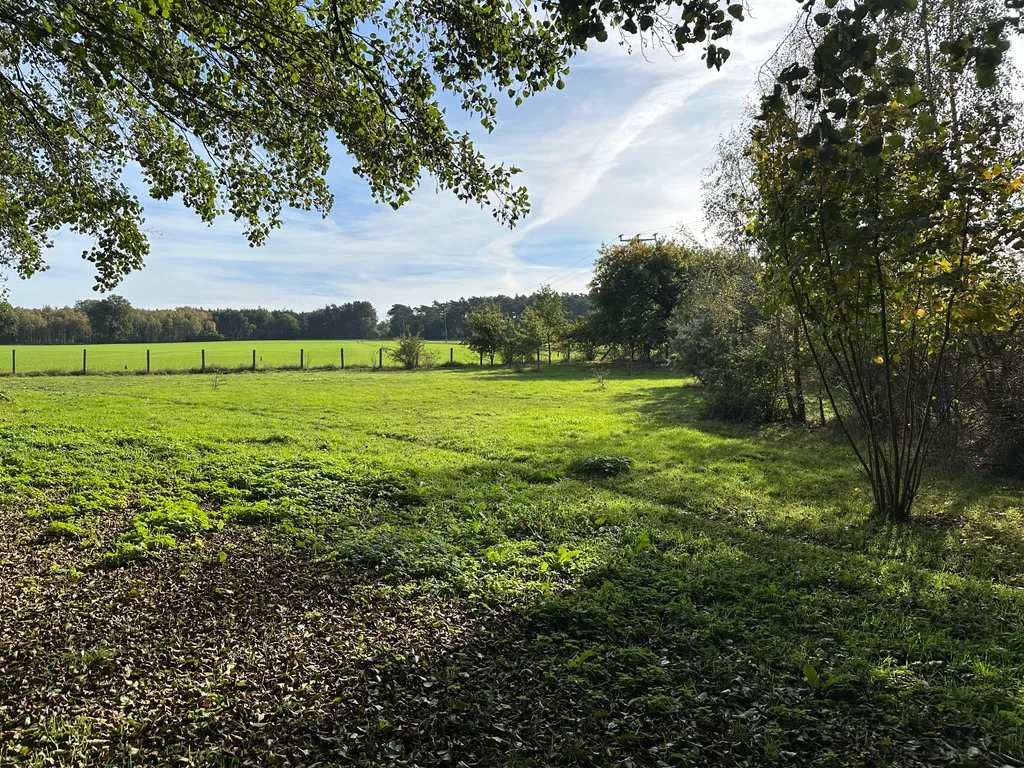 Bild von Stefan für den Spot 4454