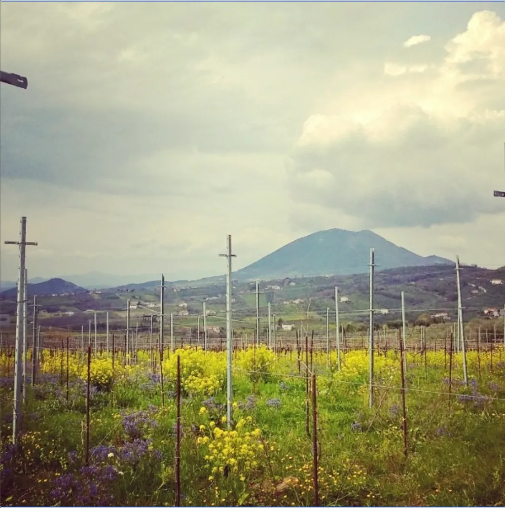 Camp Fosso degli Angeli