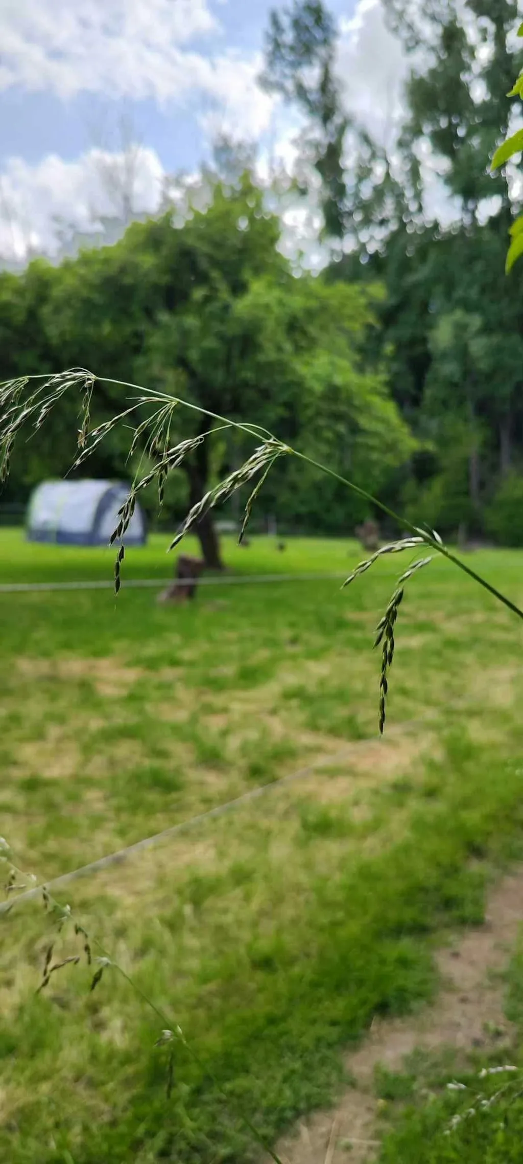'Waldfarm' im Natura 2000