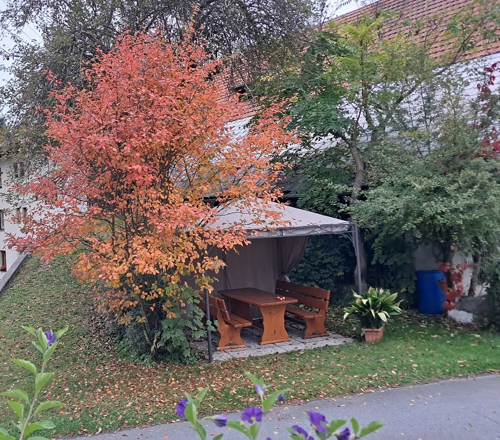 Wunderschöne bunte Herbstzeit