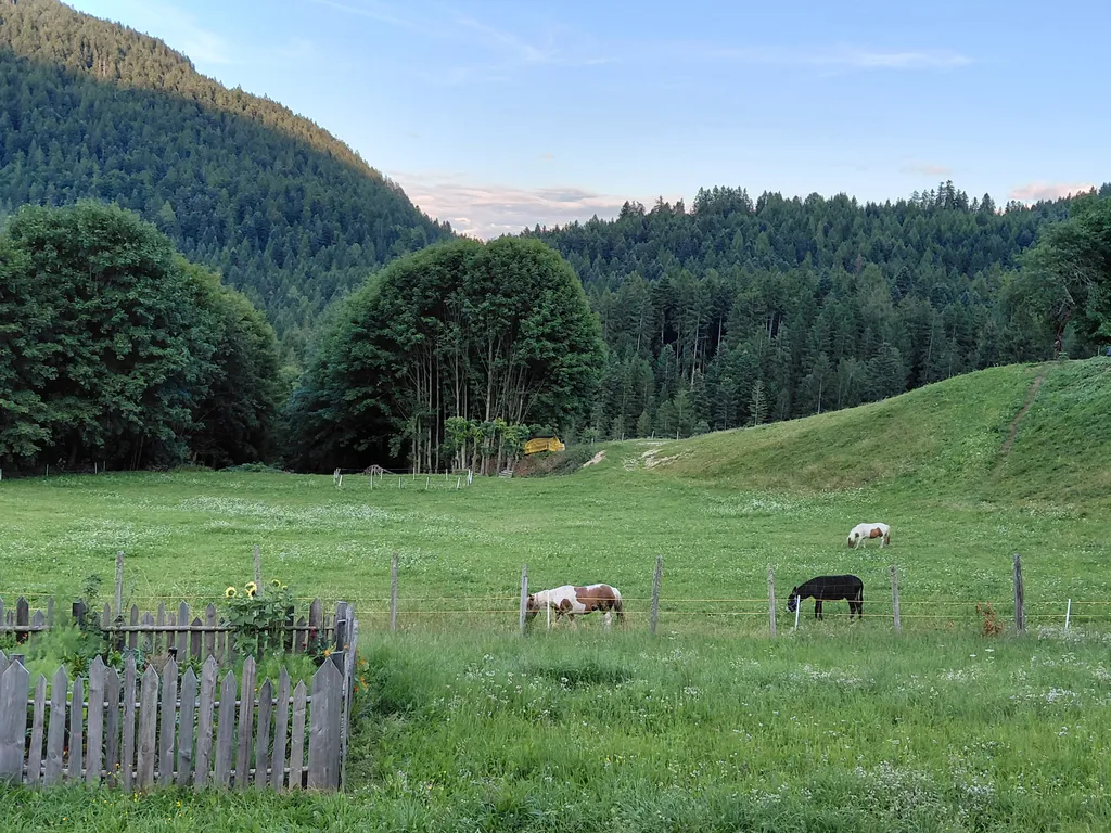 Bild von Elke für den Spot 4227