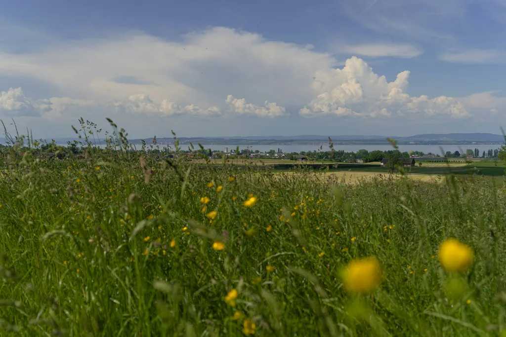 Bodenseeblick Winterlishof