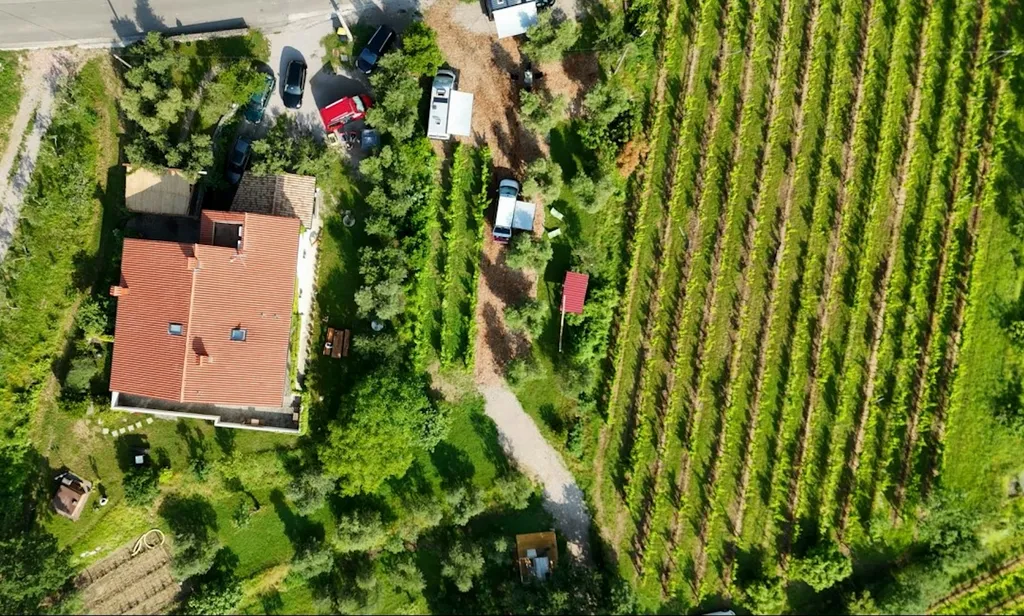 Farm stay Butul Domačija Butul