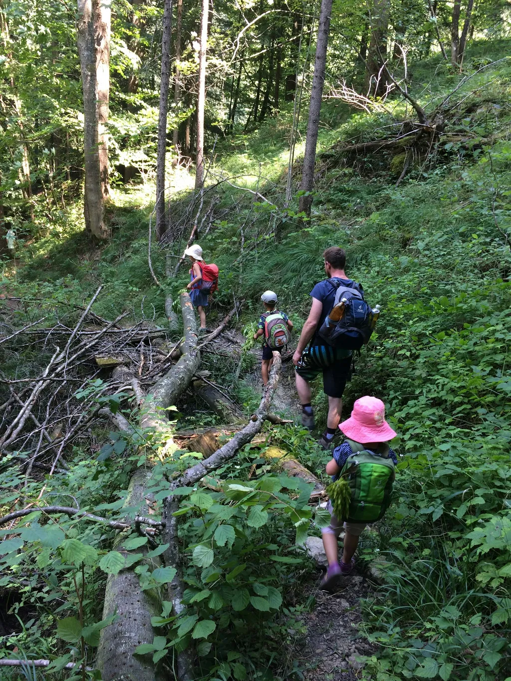 Schlafen im Pferdeanhänger